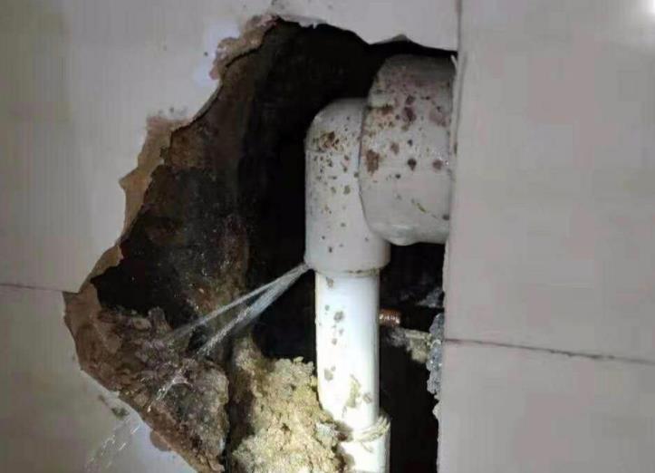 公元水管漏水包賠嗎？選購時(shí)別光看牌子！還得看它！