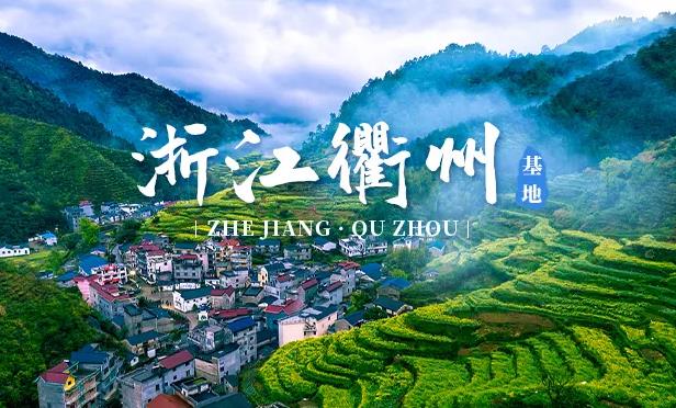 衢州ppr水管加盟代理哪個品牌好？選擇國產還是進口品牌？