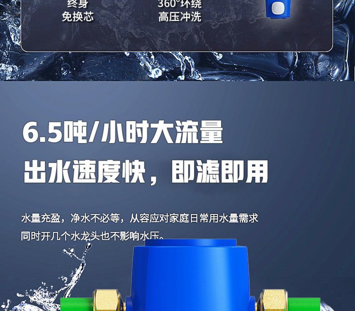 龍勝前置過(guò)濾器LS-QZ-10